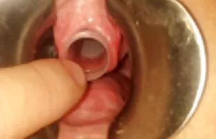 খেলনা 12 পুরানো লোমশ ভগ