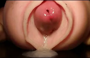 ন্যাপিতে বিড়াল থেকে বিপরীত