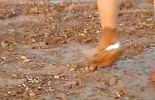 মধ্যবয়সী, লোমশ, ভগ