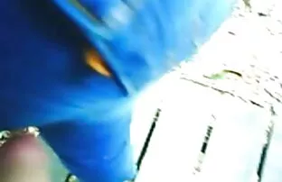 ফিল্ড পাছায় চাইনিজ ম্যাসেজ প্রেমমূলক নিটোল ub