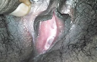 শ্রীলঙ্কান গুদে চর্মসার