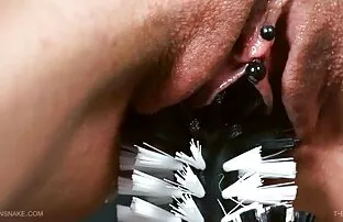 কুইনসেনকে। ব্রাশ ওয়েট ব্যাবস